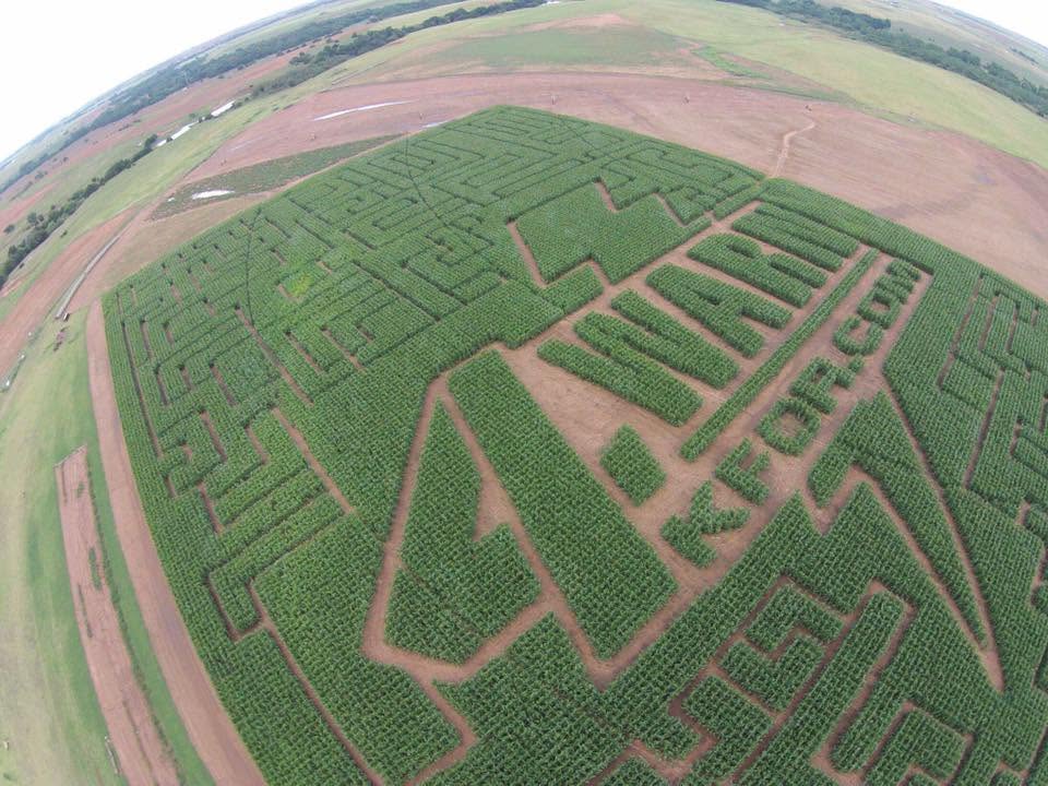 4 Warn maze