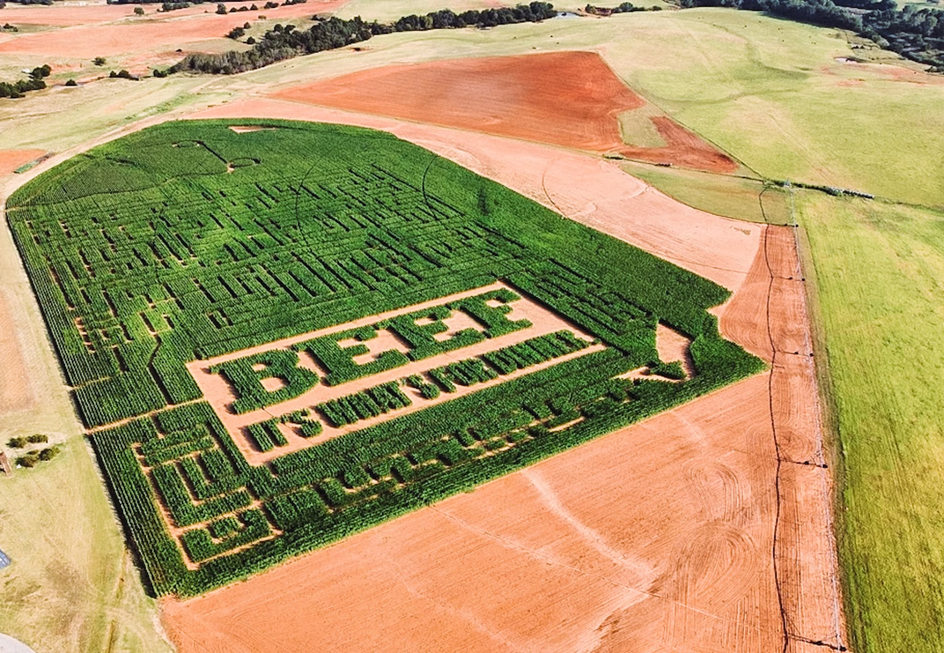 BEEF — It's What's For Dinner maze