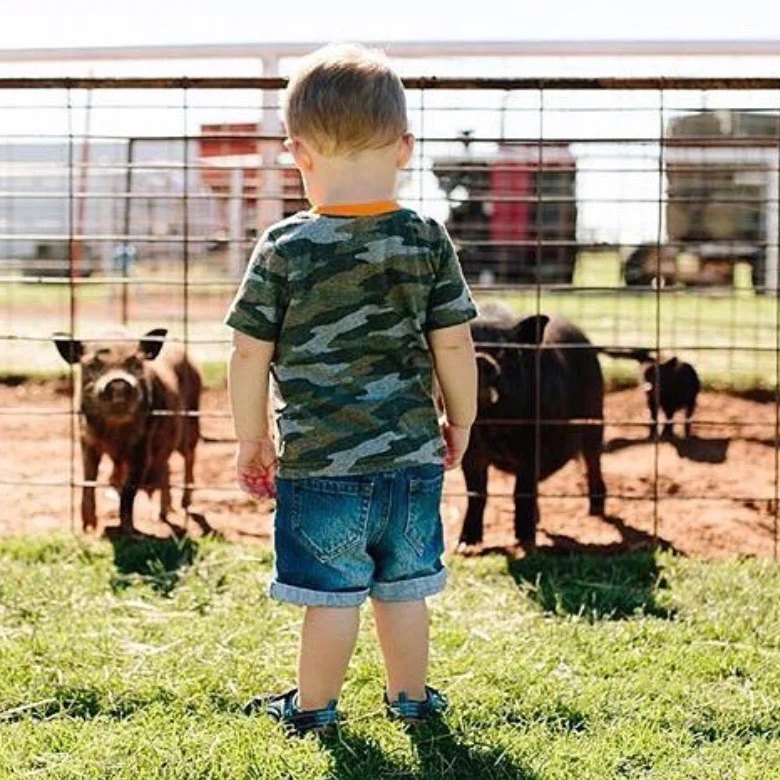 Petting Zoo