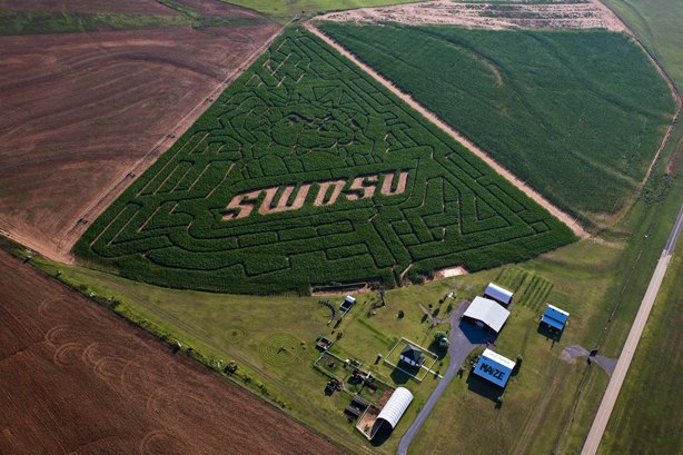 Pumpkin Patch