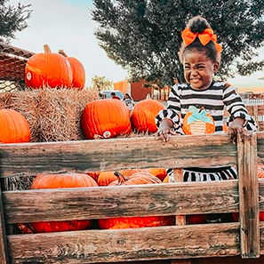 Pumpkin Patch
