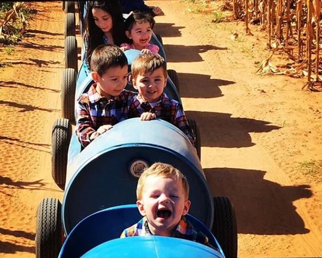 Barrel Train