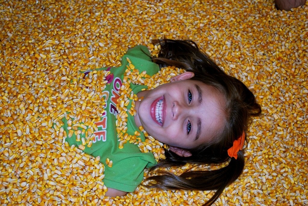 Corn Pit