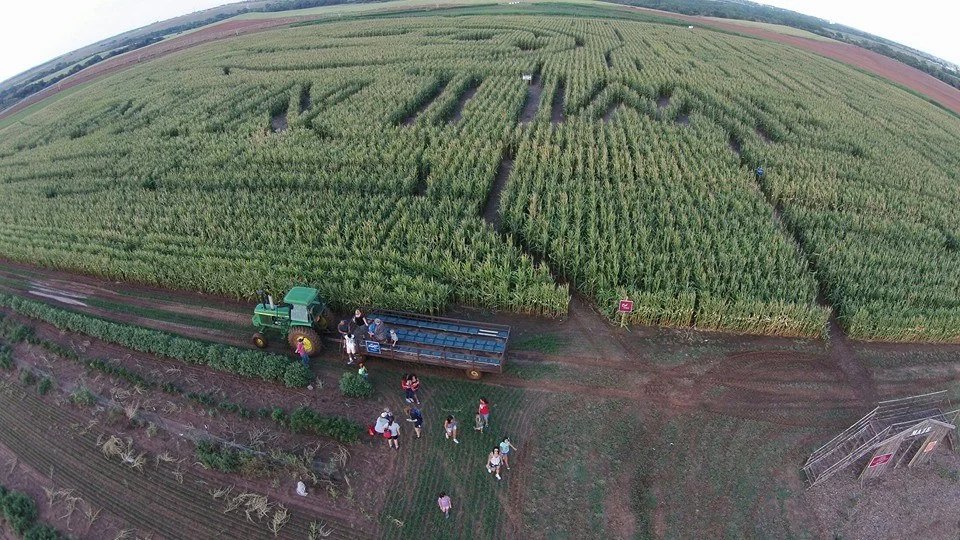 Hayrides
