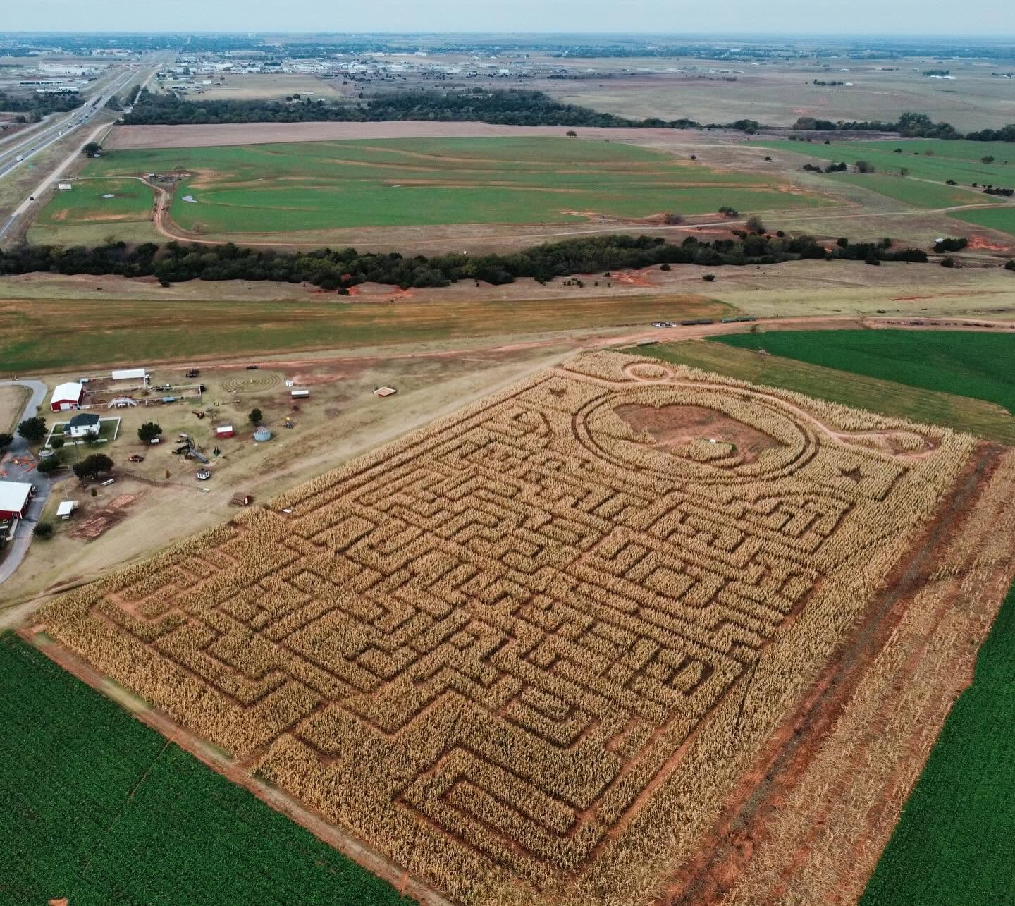Corn Maze
