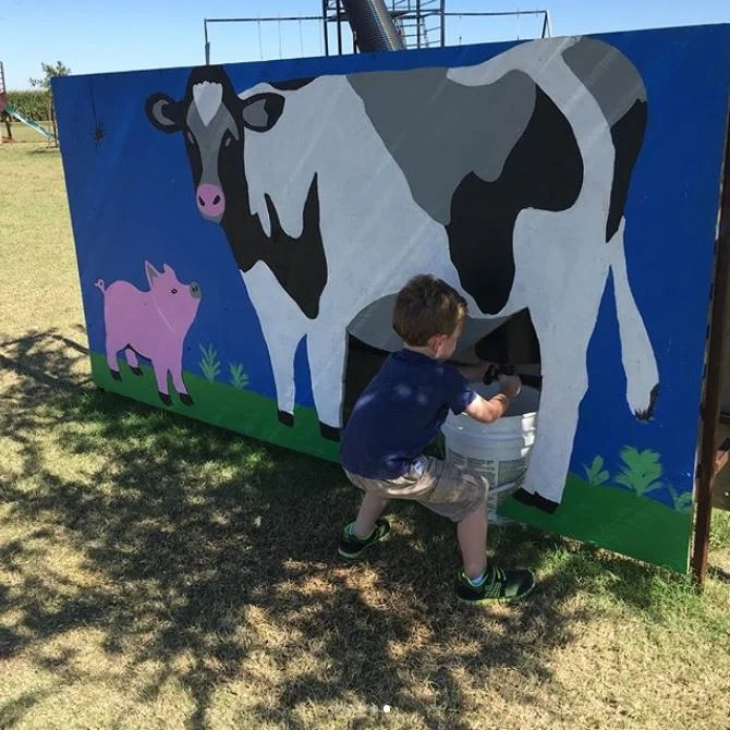 Milk a Cow